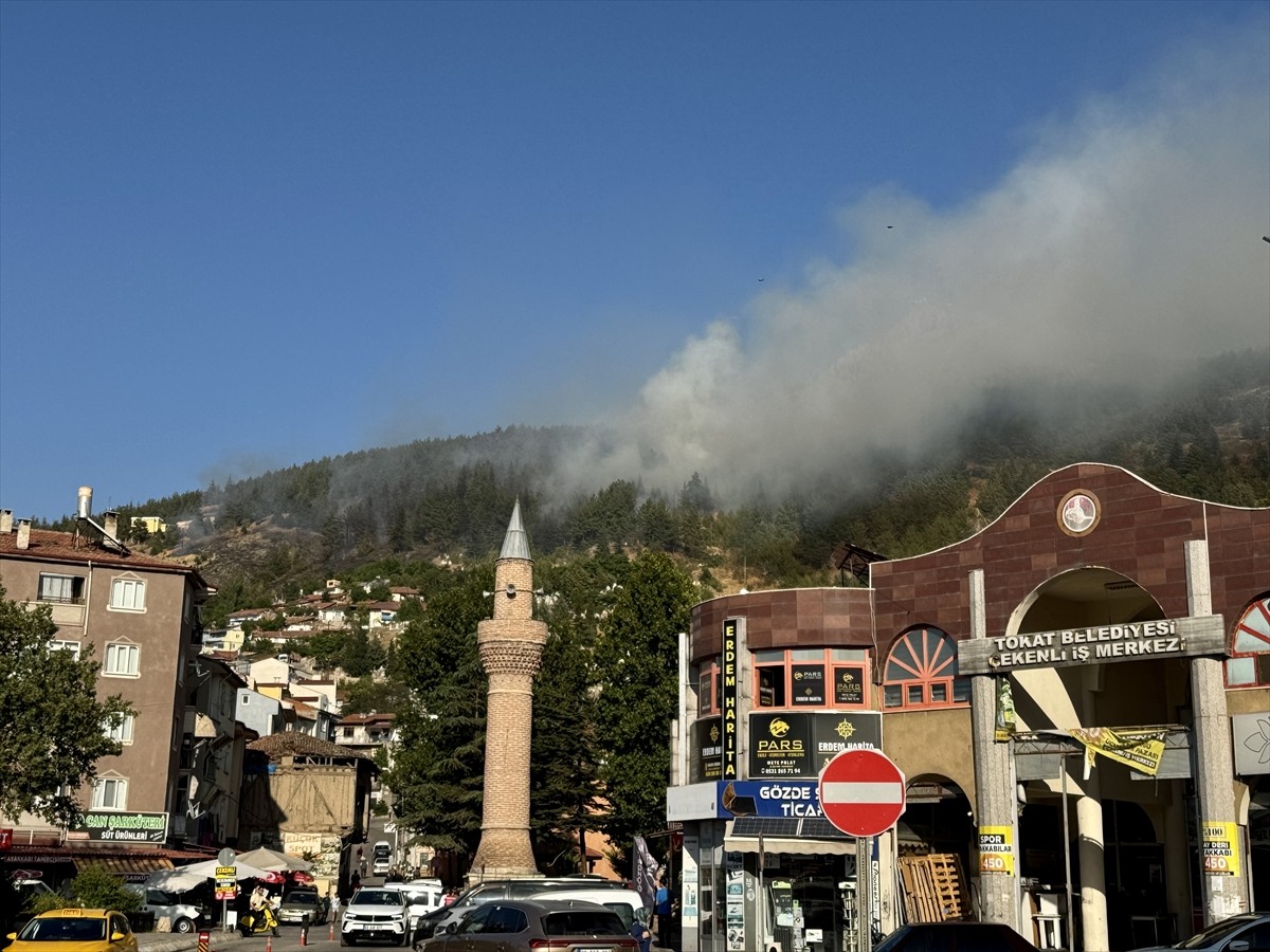 Tokat'ta çıkan orman yangınına ekipler karadan müdahale ediyor.