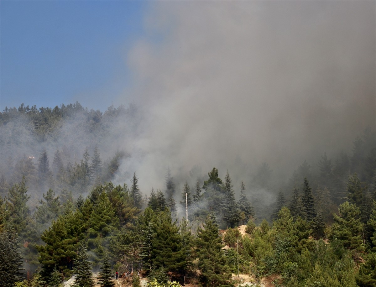Tokat'ta çıkan orman yangınına ekipler karadan müdahale ediyor.
