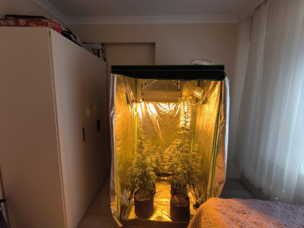 Tunceli’de son bir ayda düzenlenen uyuşturucu operasyonlarında 14 şüpheli gözaltına alındı....