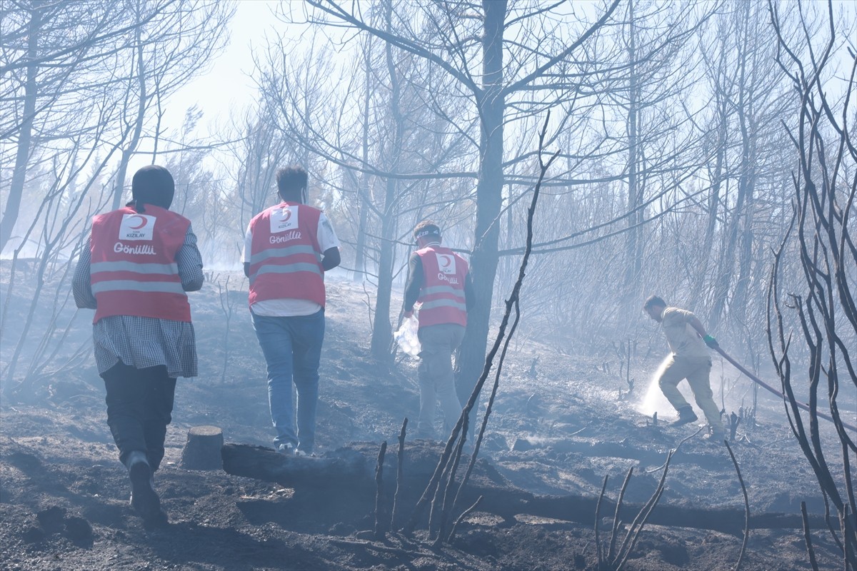 Türk Kızılay, hazirandan bu yana meydana gelen 127 orman yangınına müdahaleye destek için sahada...