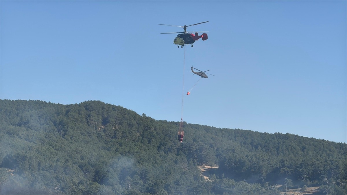 Uşak’ın Banaz ilçesindeki Yenice ile Paşacık köyleri arasında çıkan orman yangınına havadan ve...