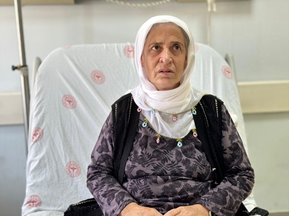 Van'da 60 yaşındaki kadının göğüs kafesinde tespit edilen 2 kilogramlık kitle ameliyatla...