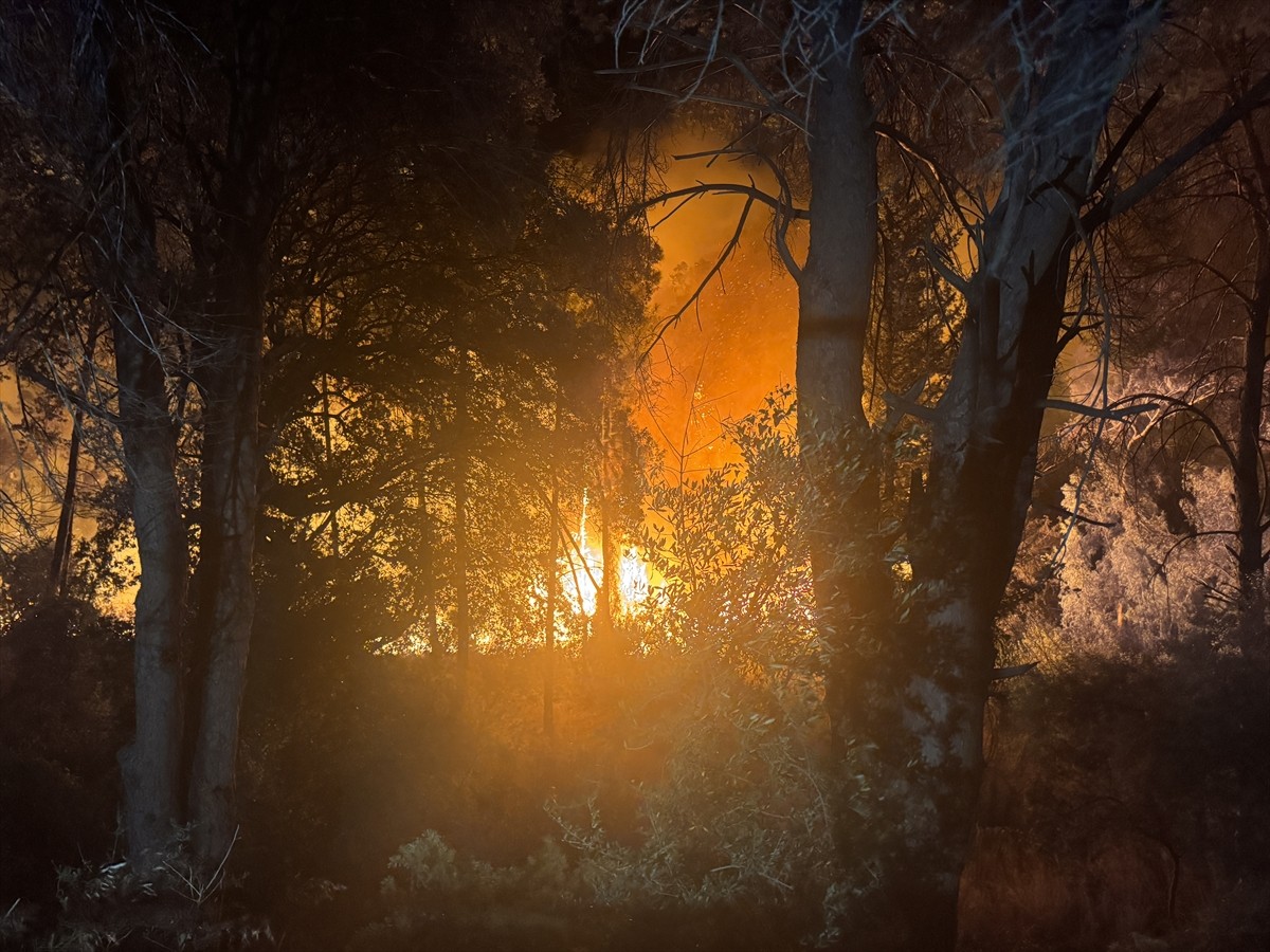 Antalya'nın Aksu ilçesinde iki farklı noktada ormanlık alanda çıkan yangına müdahale...