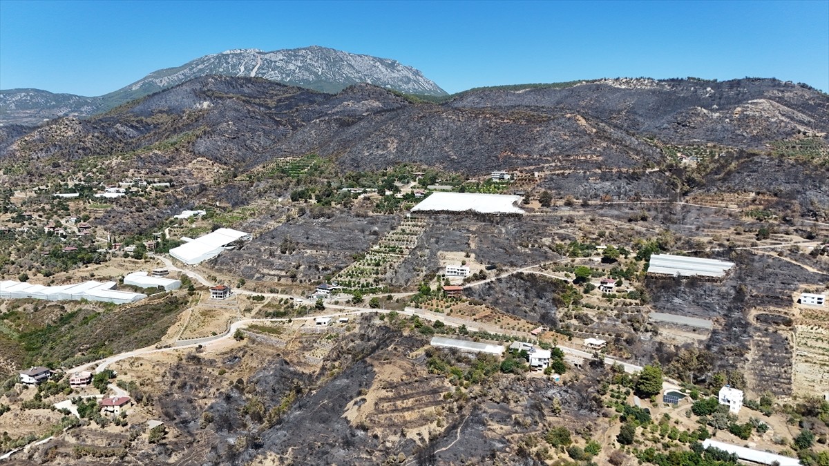 Antalya'nın Alanya ilçesinde orman yangınından zarar gören alanlar havadan görüntülendi.