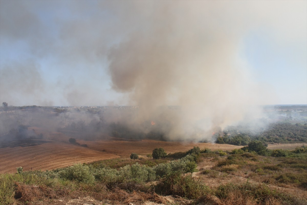 Antalya'nın Serik ilçesinde anız yakılmasıyla başlayan ve zeytin ağaçlarının bulunduğu bahçeye...