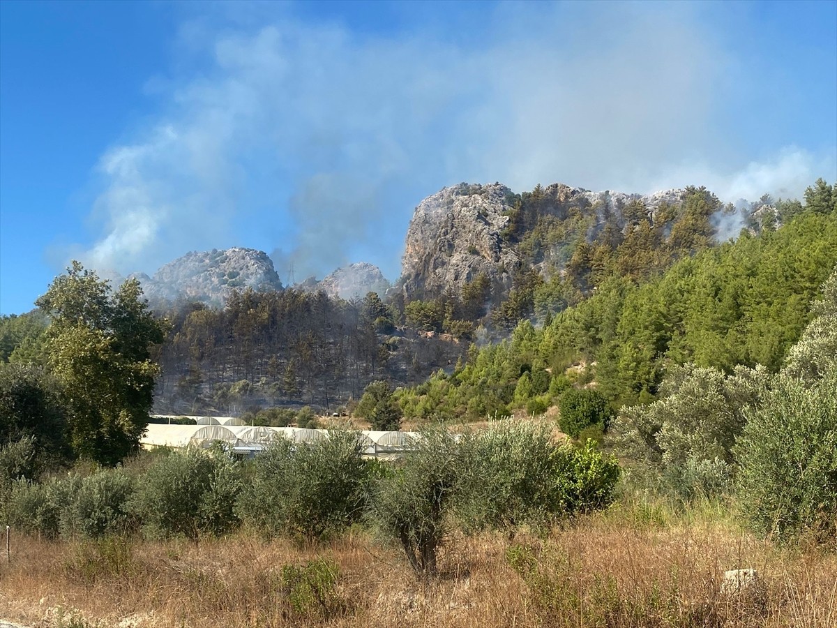 Antalya'nın Serik ilçesinde, ormanlık alanda çıkan yangına müdahale ediliyor.