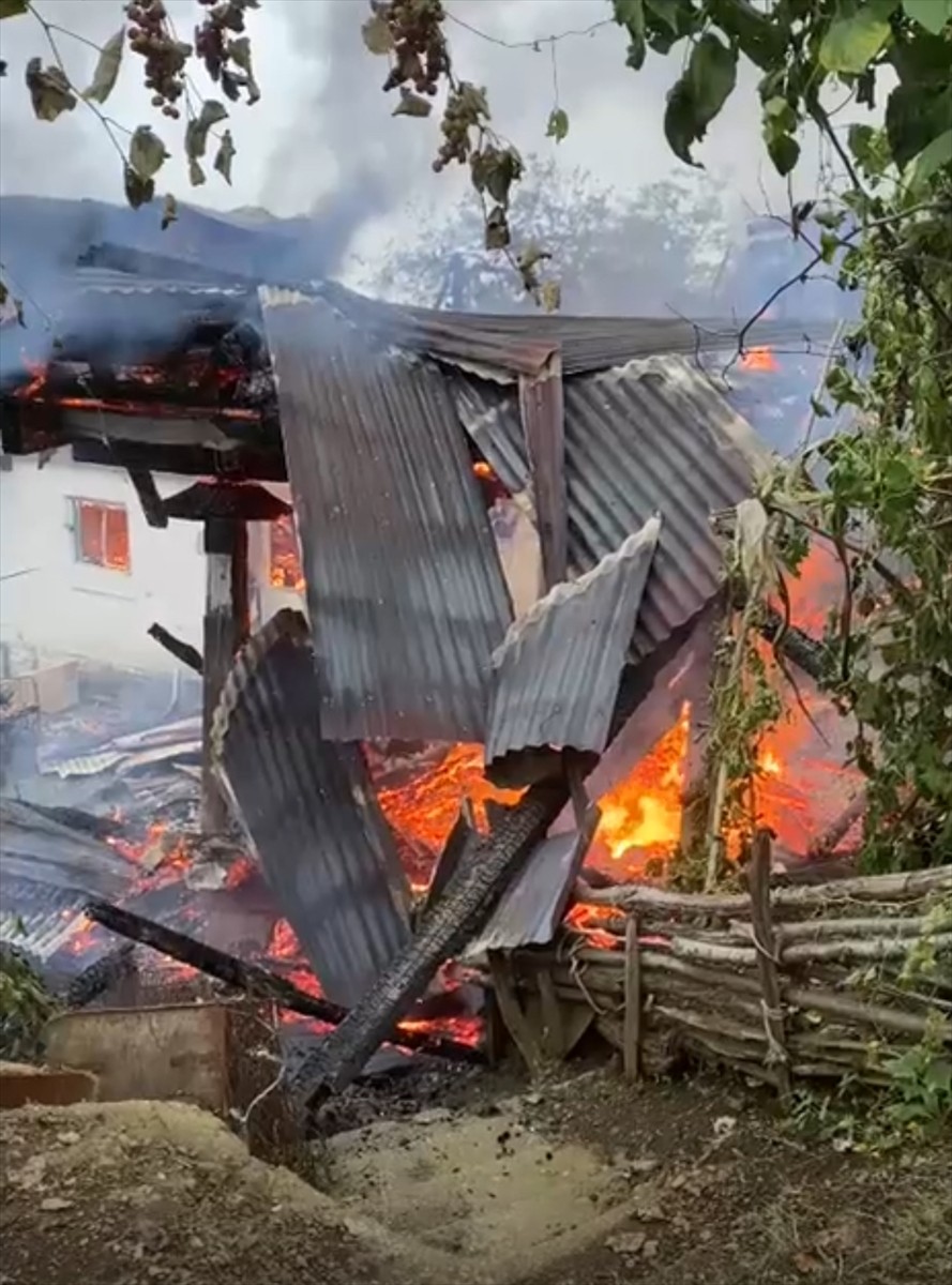 Artvin'in Borçka ilçesinde çıkan yangında 4 kardeşe ait evler kullanılamaz hale geldi.