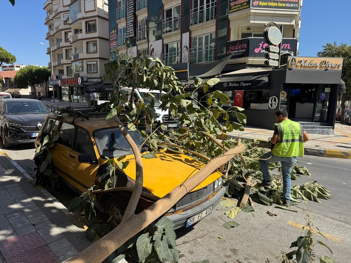 Aydın'ın Söke ilçesinde, kırılan bir ağaç dalı park halindeki bir otomobilin üzerine devrildi....