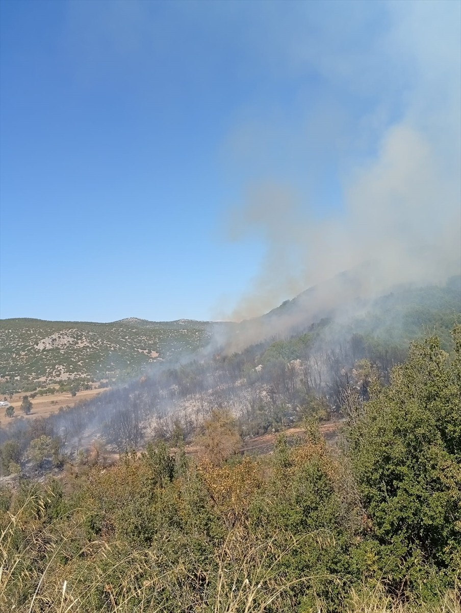 Burdur'un Ağlasun ilçesi Mamak köyündeki ormanlık alanda, henüz bilinmeyen nedenle yangın...