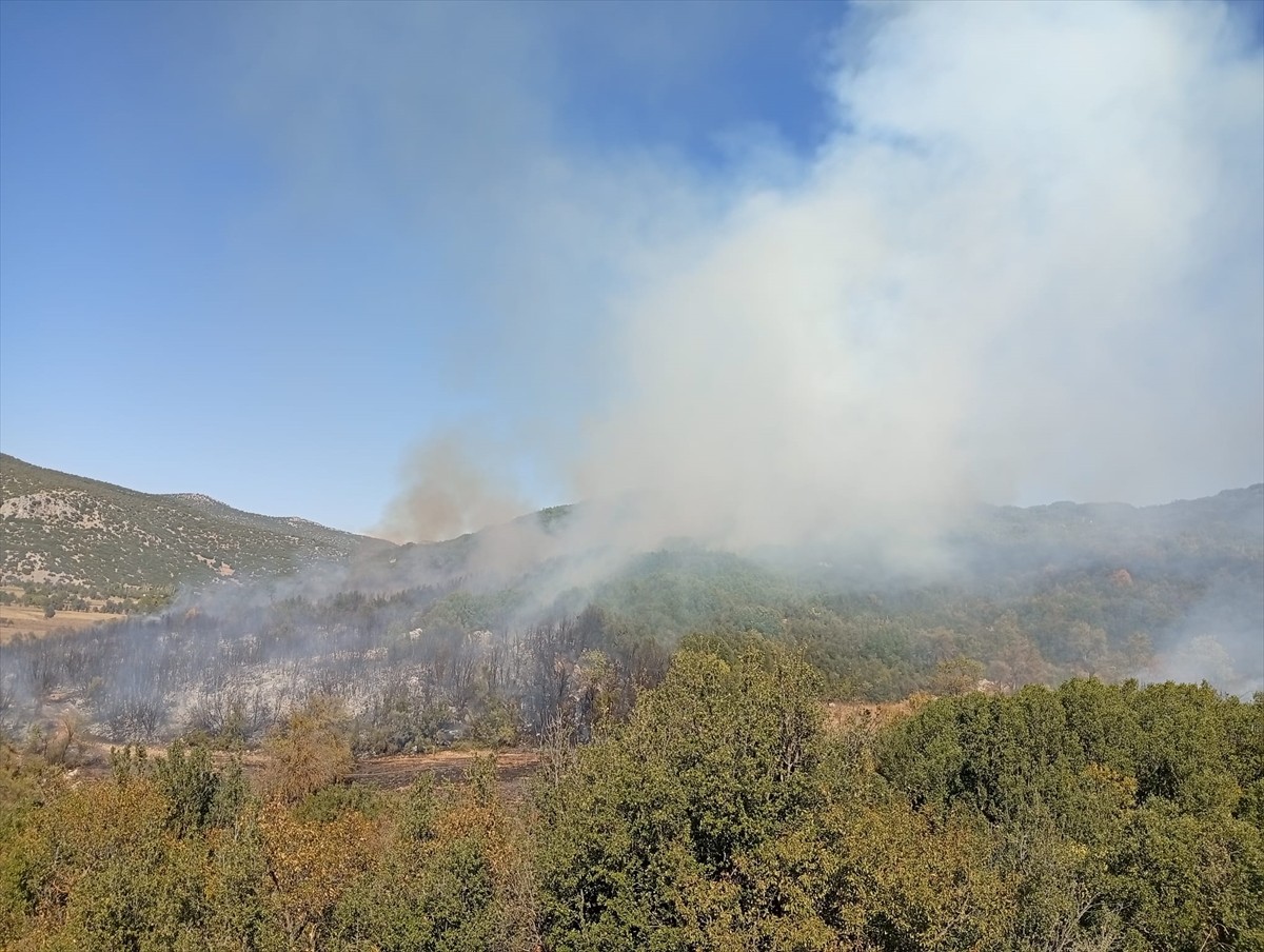 Burdur'un Ağlasun ilçesi Mamak köyündeki ormanlık alanda, henüz bilinmeyen nedenle yangın...