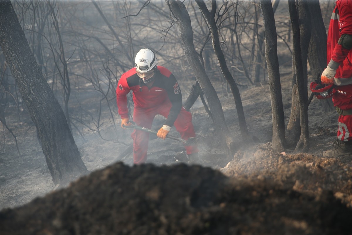 Bursa'nın Osmangazi ilçesinde ormanlık alanda çıkan yangın kontrol altına alınmaya...