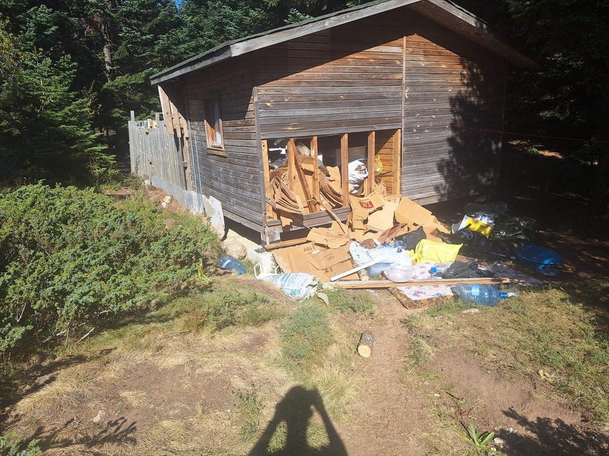 Bursa Uludağ'da ayının girdiği barakada hasar meydana geldi. Barakaya giren ayının, içeride...