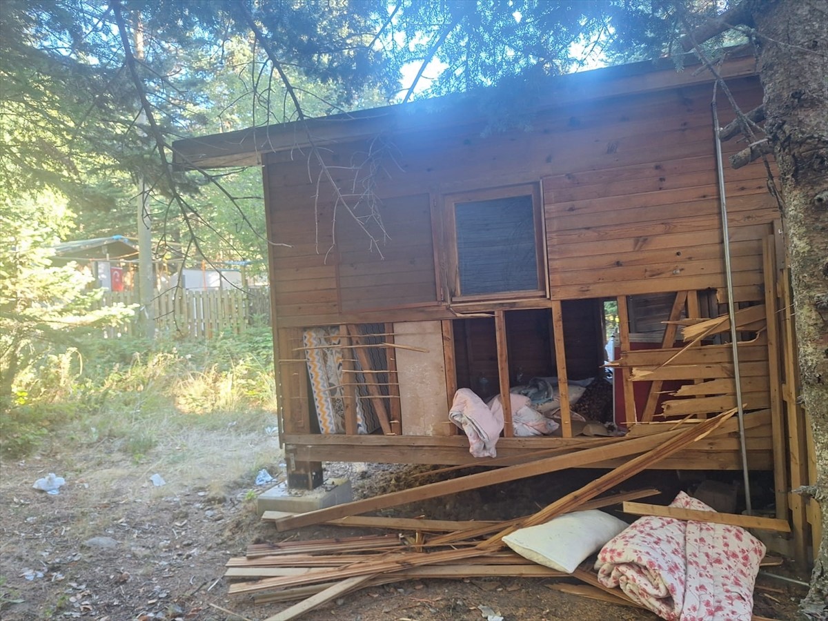 Bursa Uludağ'da ayının girdiği barakada hasar meydana geldi. Barakaya giren ayının, içeride...