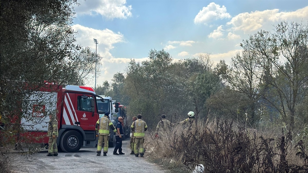 Büyükçekmece'de, göl kenarındaki ağaçlık alanda çıkan yangın itfaiye ekiplerince...