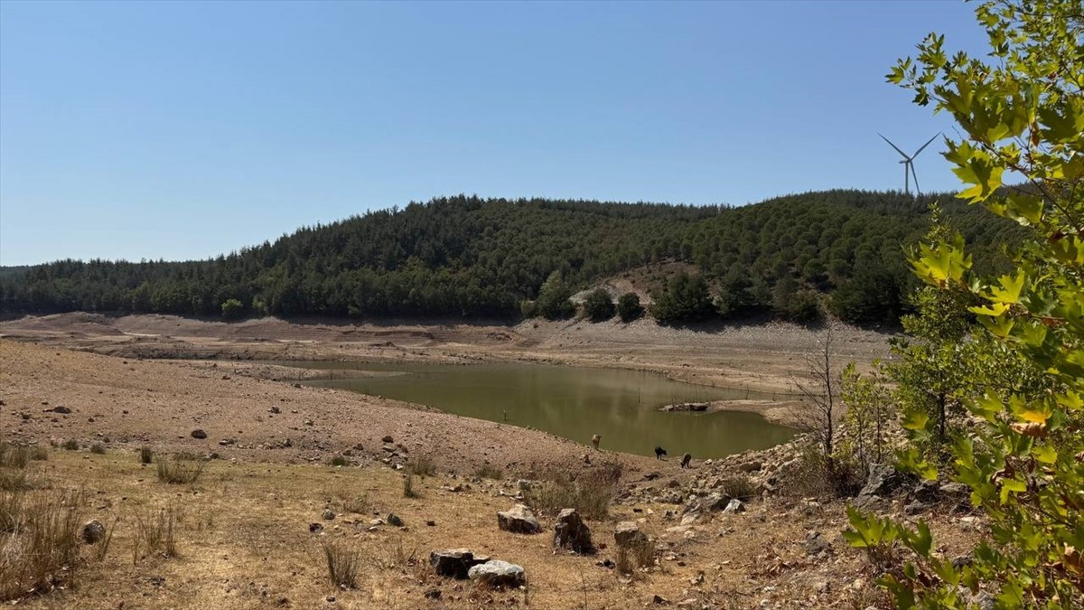 Çanakkale'de yaşanan olağanüstü kuraklık, içme ve sulama suyu sağlayan 9 barajın doluluk oranının...