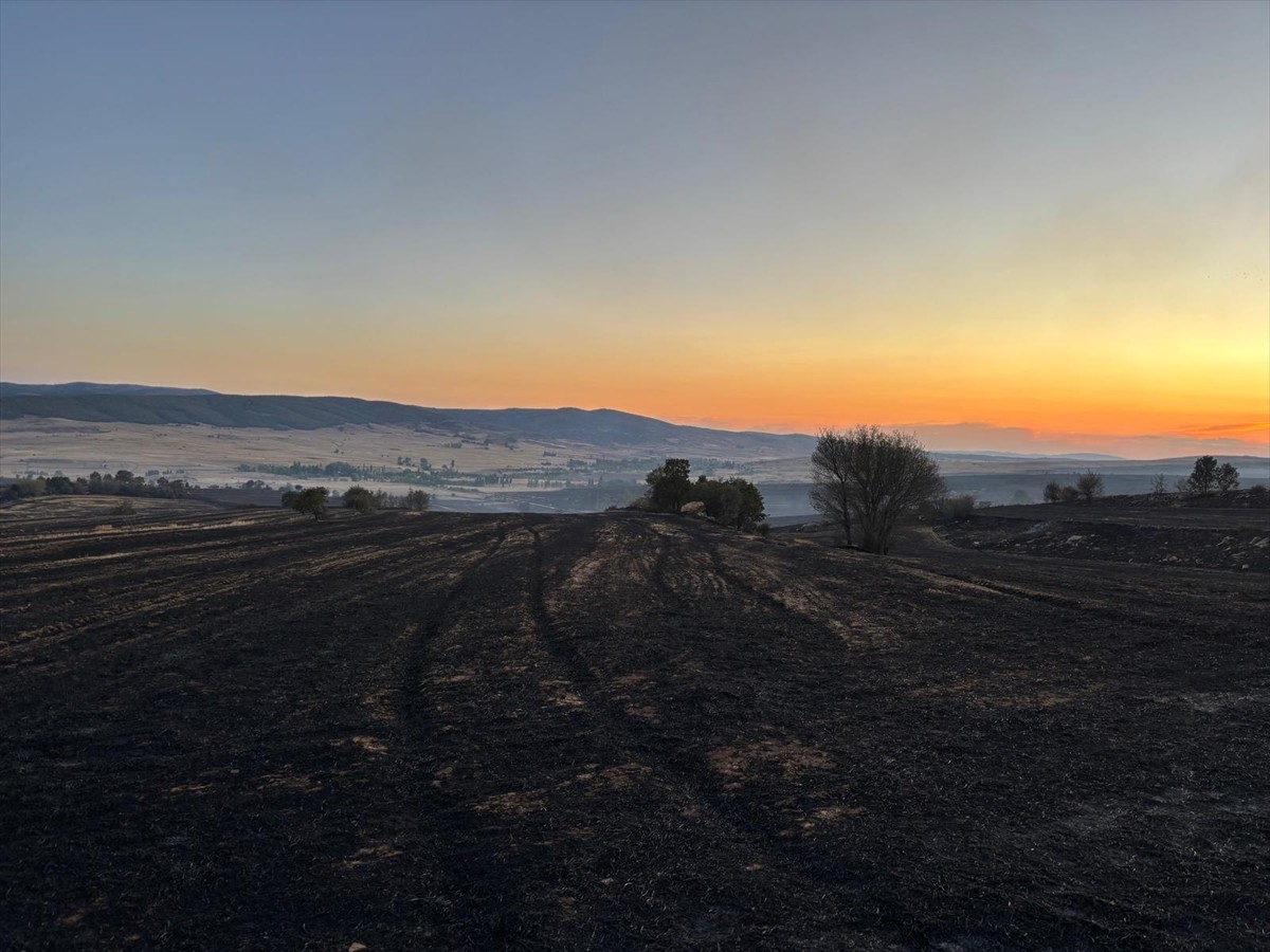 Çorum'un Alaca ilçesinde otluk arazide çıkan ve ormanlık alana sıçrayan yangına müdahale...