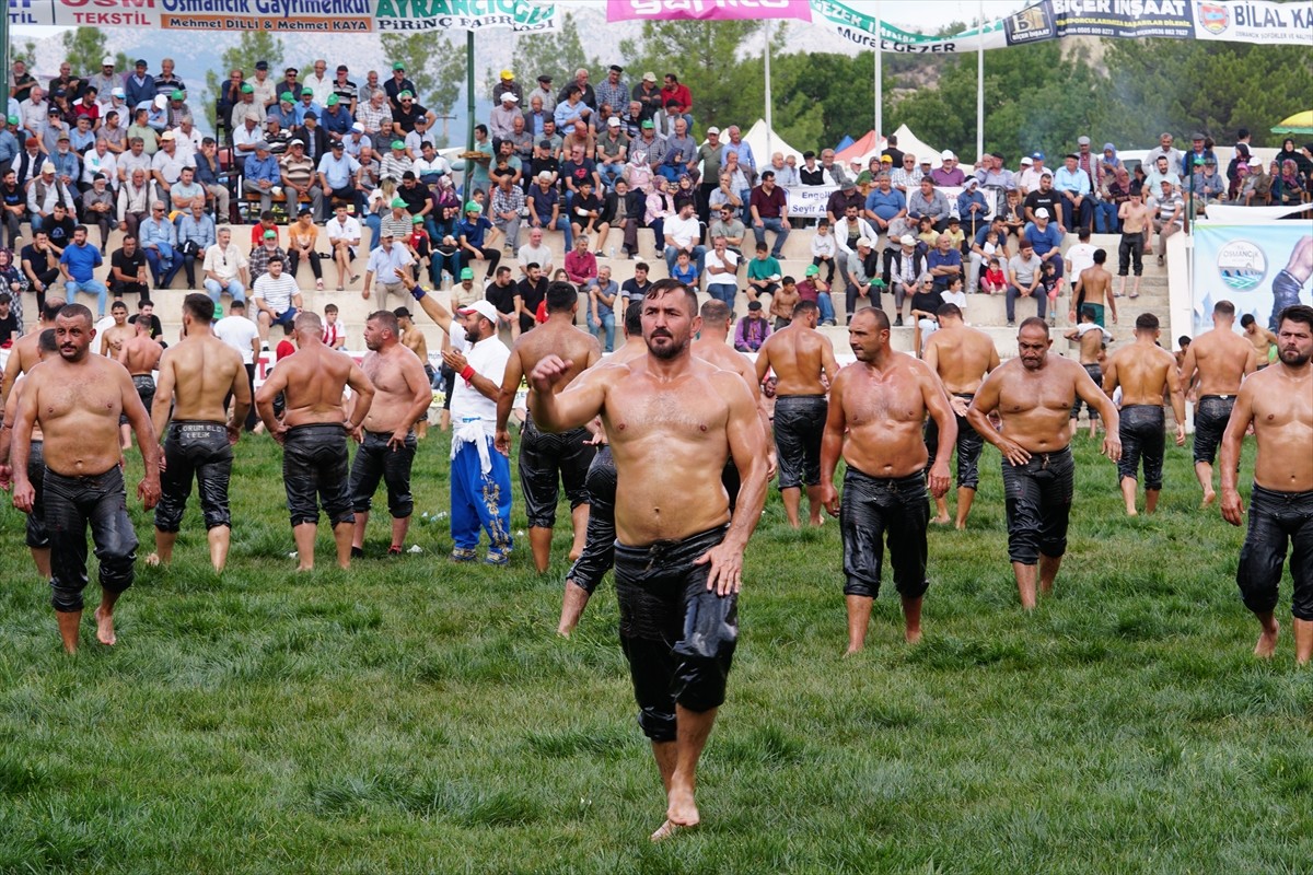 Çorum'un Osmancık ilçesinde Pırlanta Pirinç Kültür ve Sanat Festivali kapsamında düzenlenen Yağlı...