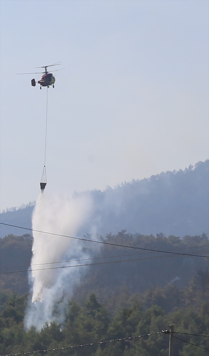 Denizli'nin Buldan ilçesinde 4 gündür süren orman yangınını söndürme çalışmalarına günün...