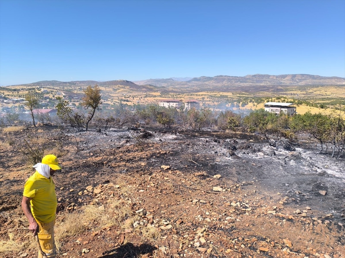 Diyarbakır'ın Lice ve Dicle ilçelerinin kırsalındaki 3 farklı noktada çıkan örtü yangınları...