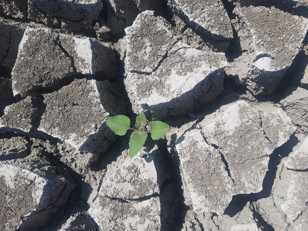 Hatay'daki Amik Ovası'nı sulayan Gaziantep'in İslahiye ilçesindeki Tahtaköprü Barajı'nda su...