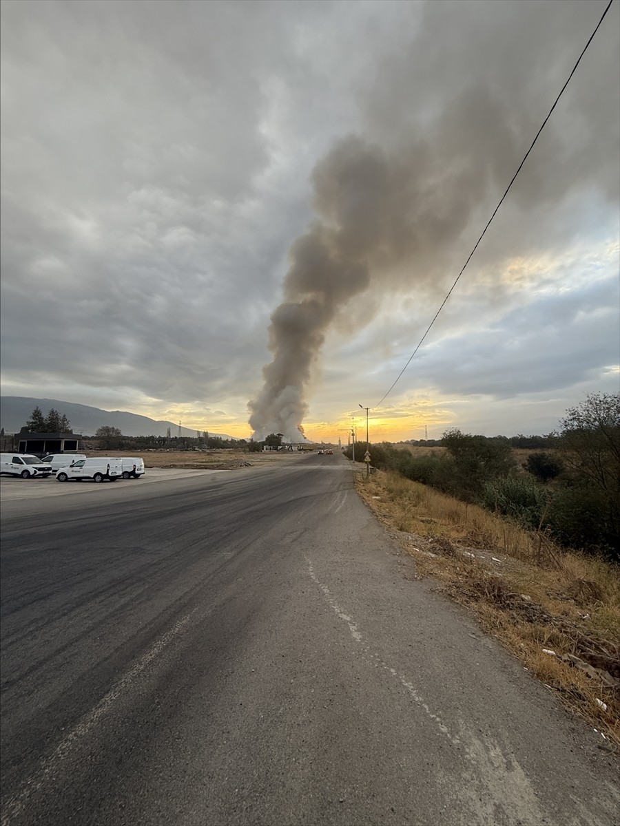 İzmir'in Kemalpaşa ilçesinde, katı atık toplama merkezine götürülecek çöplerin toplandığı alanda...