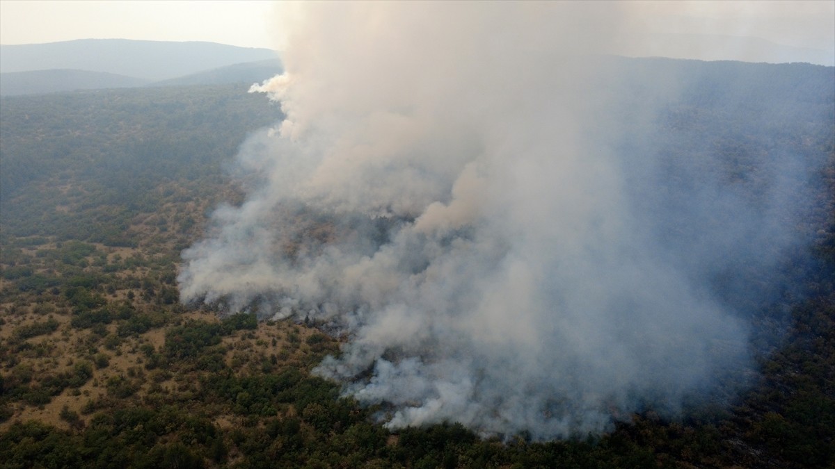 Karabük'te ormanlık alanda çıkan yangını söndürmek için çalışmalar devam ediyor. Eflani ilçesi...