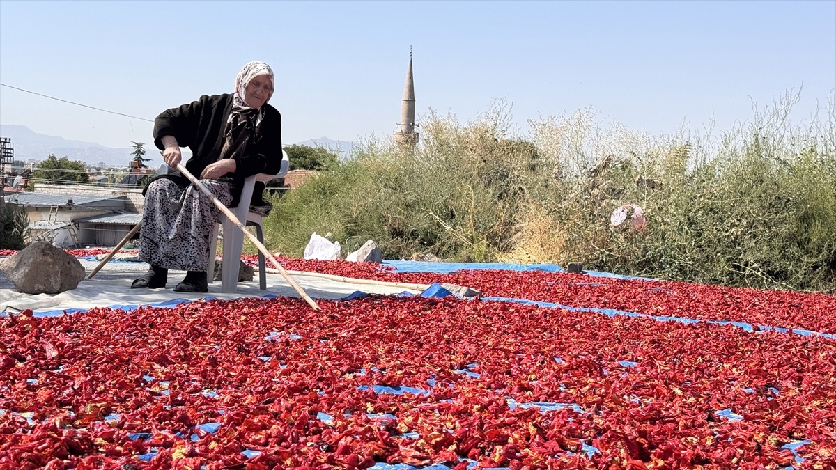 Kayseri'nin Cırgalan Mahallesi'nde yıllardır ata tohumuyla üretilen coğrafi işaretli biber...