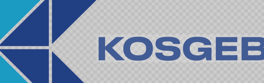 KOSGEB'de Rekor: Genç Girişimcilerin İş Kurma Başvuruları %34 Arttı