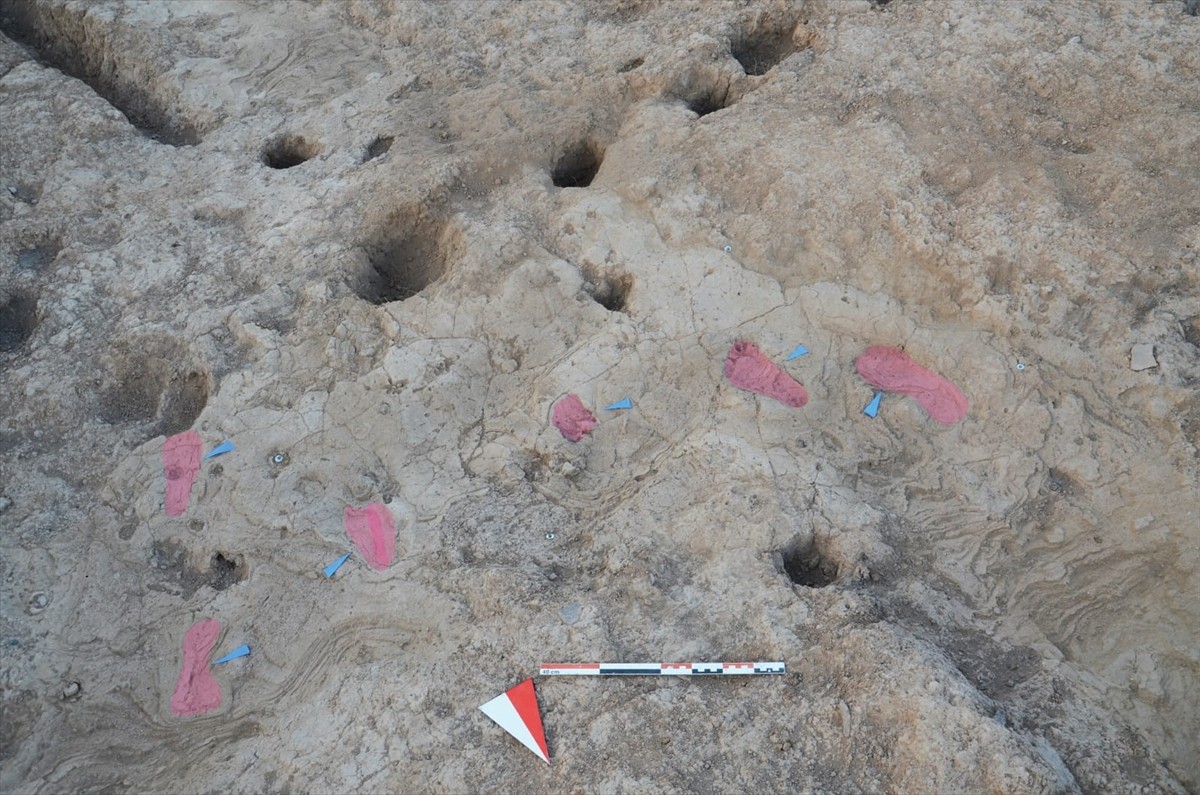 Kültür ve Turizm Bakanı Mehmet Nuri Ersoy, Hatay'daki Tell Kurdu Höyük'te yürütülen kazılarda...