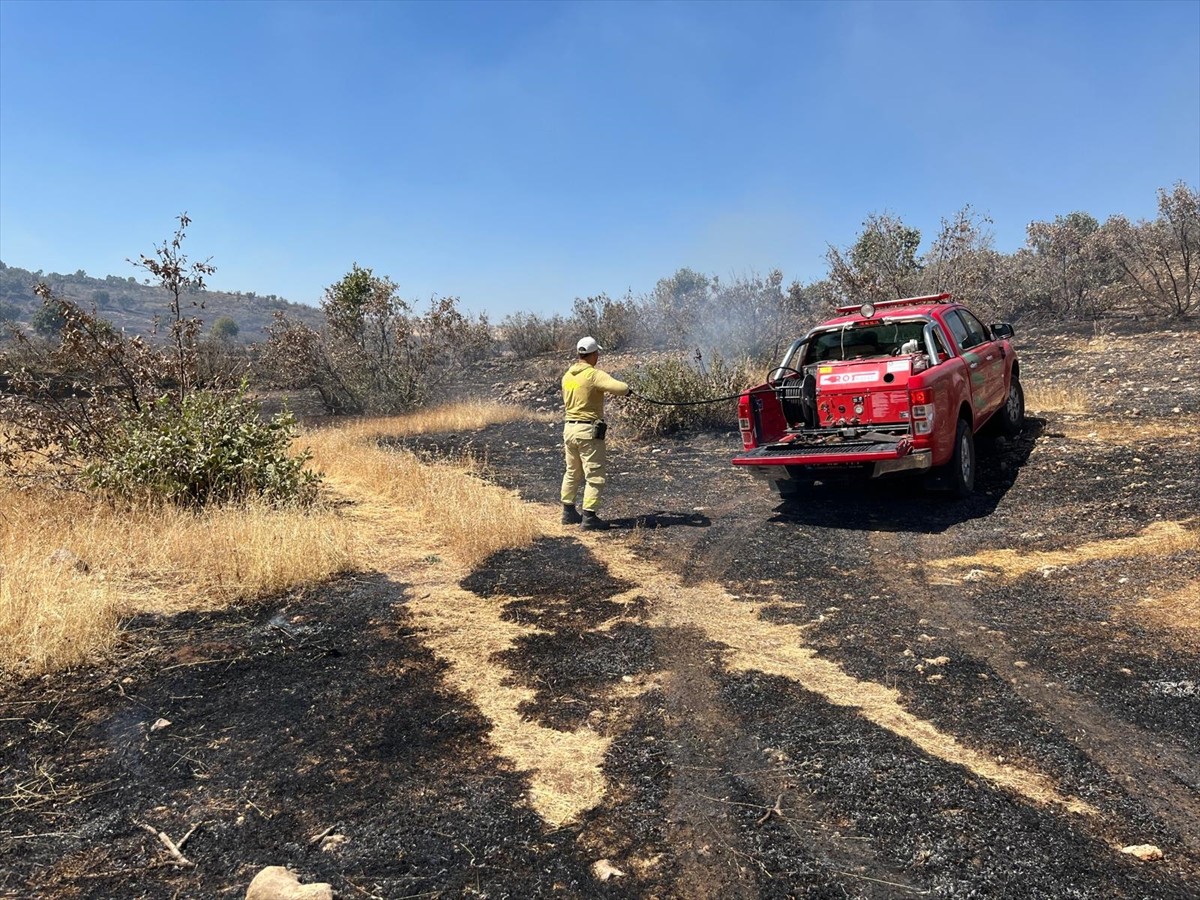  Mardin'in Savur ilçesinde ormanlık alanda çıkan yangın kontrol altına alındı.