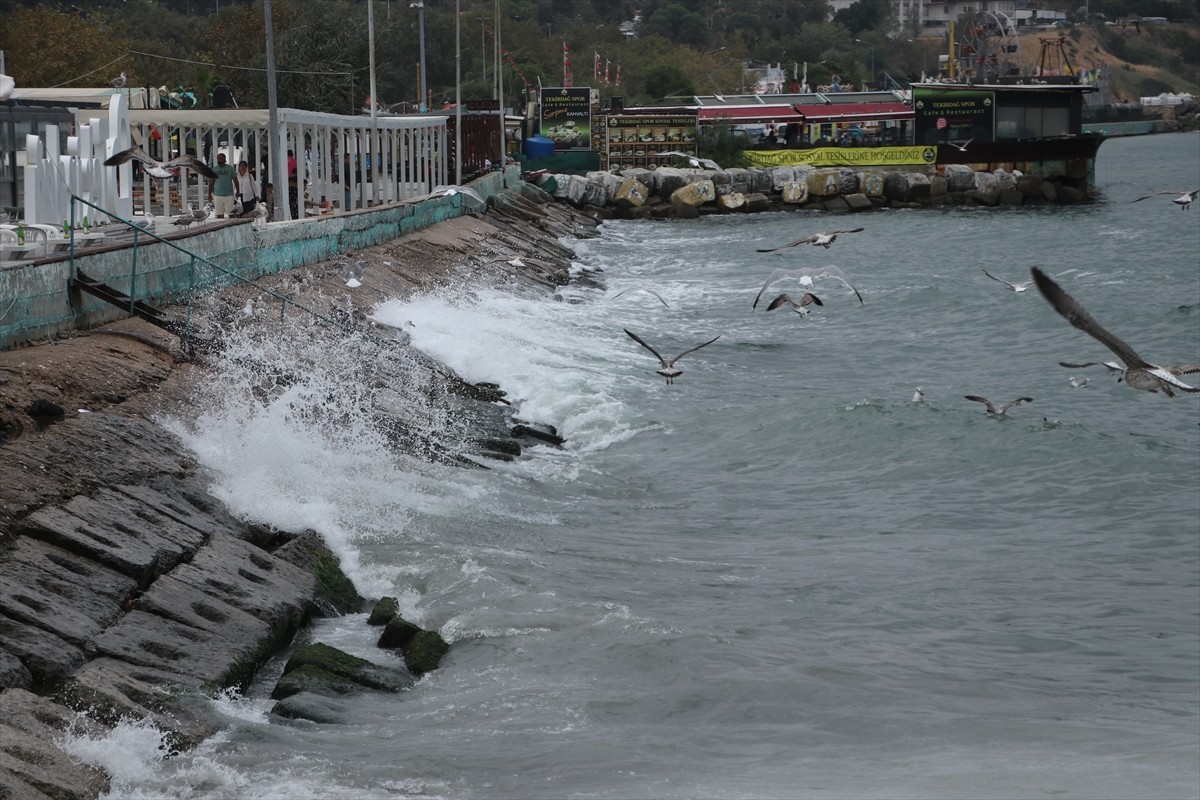 Marmara Denizi'nde 3 gündür etkisini gösteren poyraz, Tekirdağ'da deniz ulaşımında aksamalara...