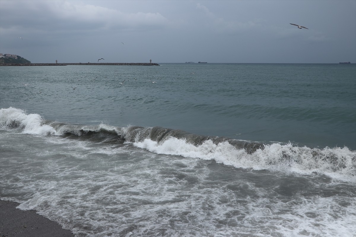 Marmara Denizi'nde 3 gündür etkisini gösteren poyraz, Tekirdağ'da deniz ulaşımında aksamalara...