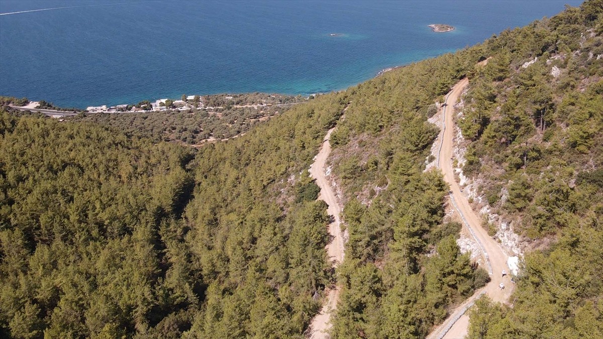 Muğla'nın Bodrum ilçesinde yaşayan Ahmet Yılmaz ile ziraat mühendisi oğlu Mehmet Yılmaz, ata...