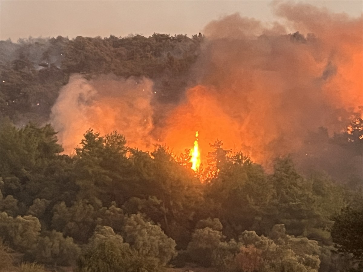 Muğla'nın Milas ilçesinde çıkan orman yangınına müdahale ediliyor. Çok sayıda orman ekibi, dağlık...