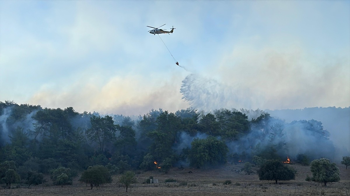 Muğla'nın Milas ilçesinde çıkan orman yangınına müdahale ediliyor. Günün ağarmasıyla hava araçları...
