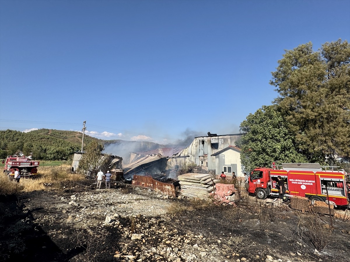 Muğla'nın Seydikemer ilçesinde kereste deposu çıkan yangında kullanılamaz hale geldi.