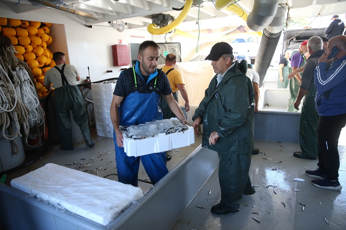 Ordu'da balıkçıların kasaları hamsiyle doldu taştı. Balıkçıların limana dönmelerinin ardından...