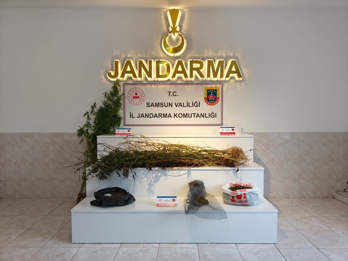 Samsun'un Bafra ilçesinde düzenlenen uyuşturucu operasyonunda 3 kişi gözaltına alındı.