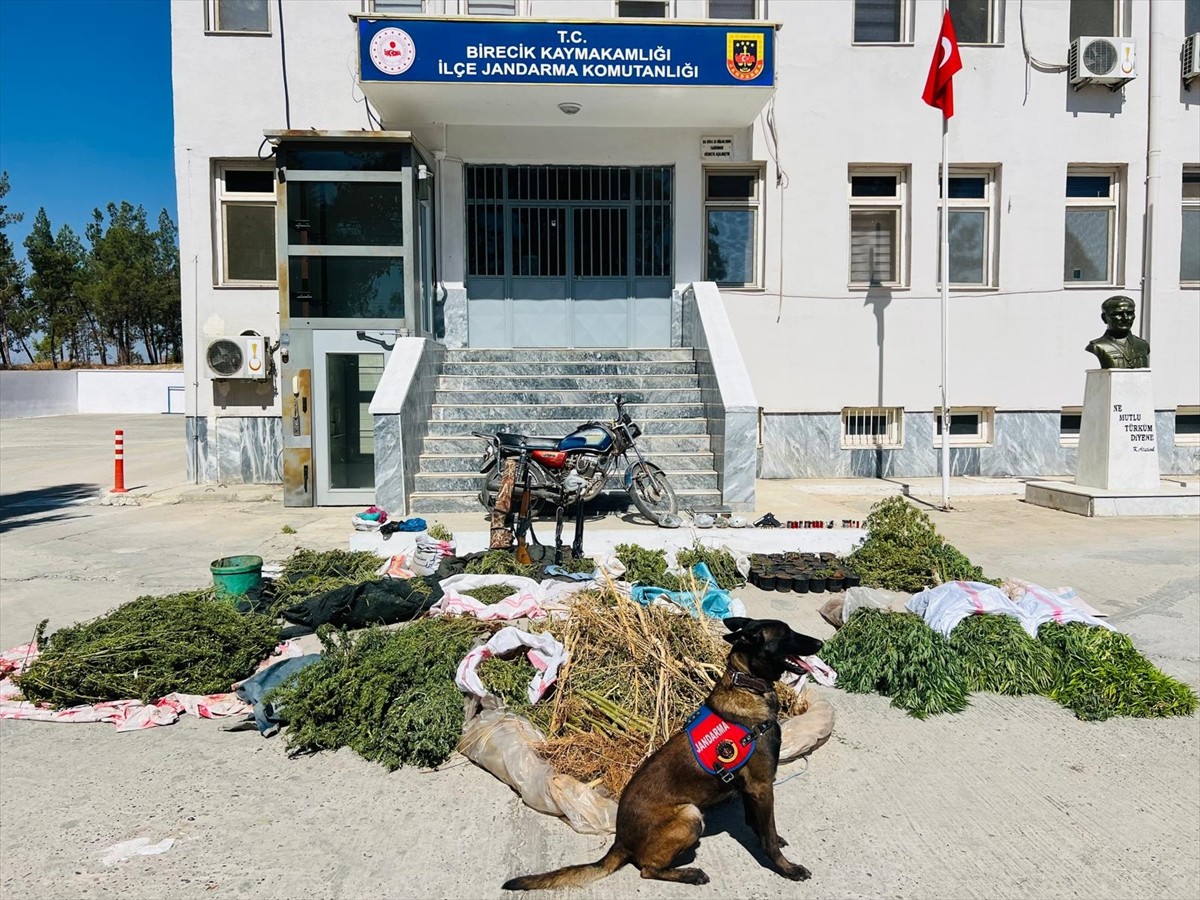 Şanlıurfa'nın Birecik ilçesinde düzenlenen uyuşturucu operasyonunda 3 şüpheli gözaltına alındı....