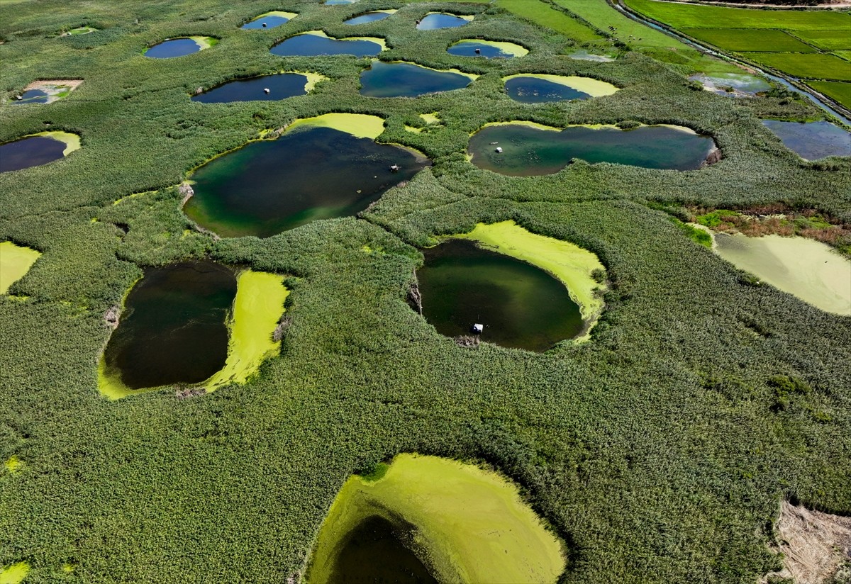 Şiddetli kuraklık nedeniyle pek çok su kaynağının kuruma noktasına geldiği Edirne'de bulunan...