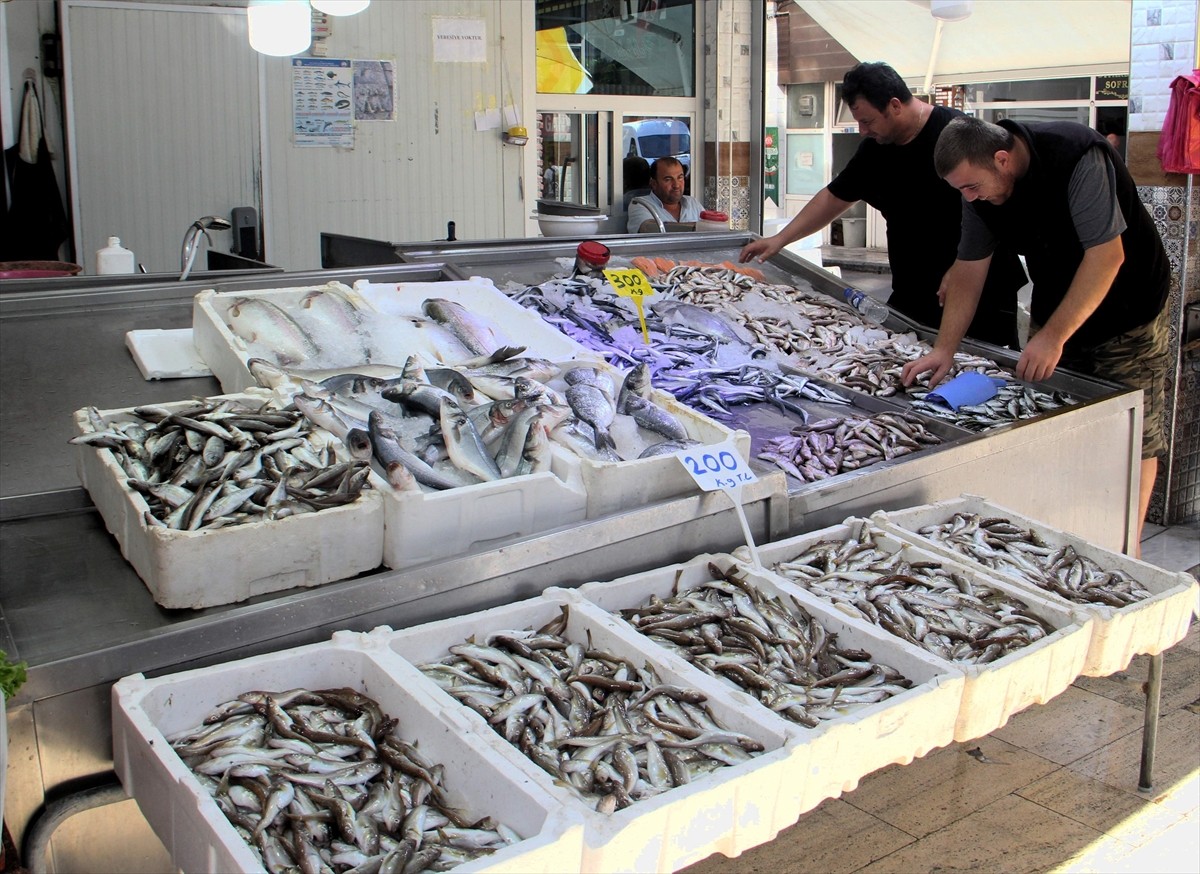  Sinop'ta 1 Eylül'de av yasağının sona ermesinin ardından denize açılan balıkçılar, umduklarını...