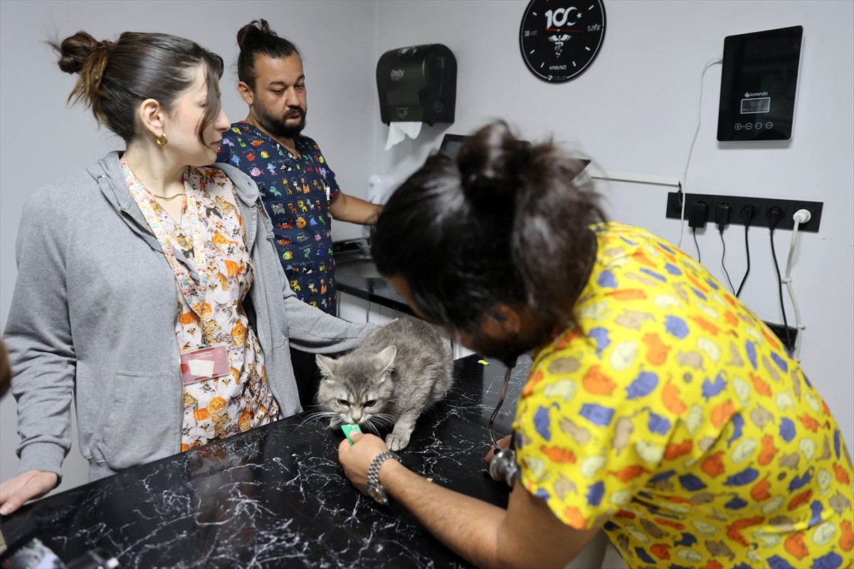 Sivas’ta yaklaşık 2 ay önce yediği bir gıdadan zehirlenen ve bir veteriner kliniği önünden...