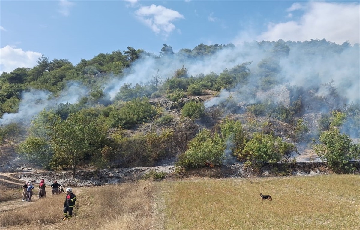 Tokat'ın Niksar ilçesinde ormanlık alanda çıkan yangın büyümeden söndürüldü.