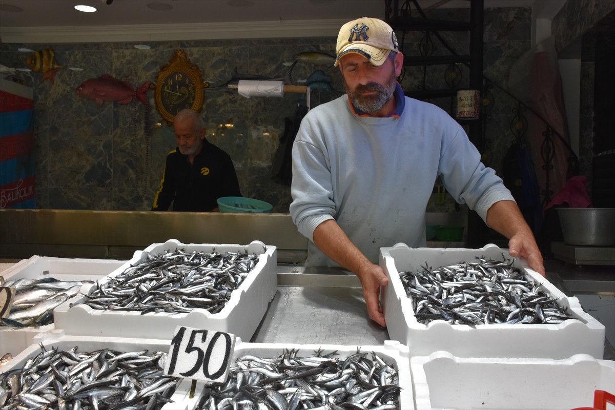 Trabzon'daki balıkçı tezgahlarında hamsi ve istavritin kilogramı 150 liradan satılıyor. Ortahisar...