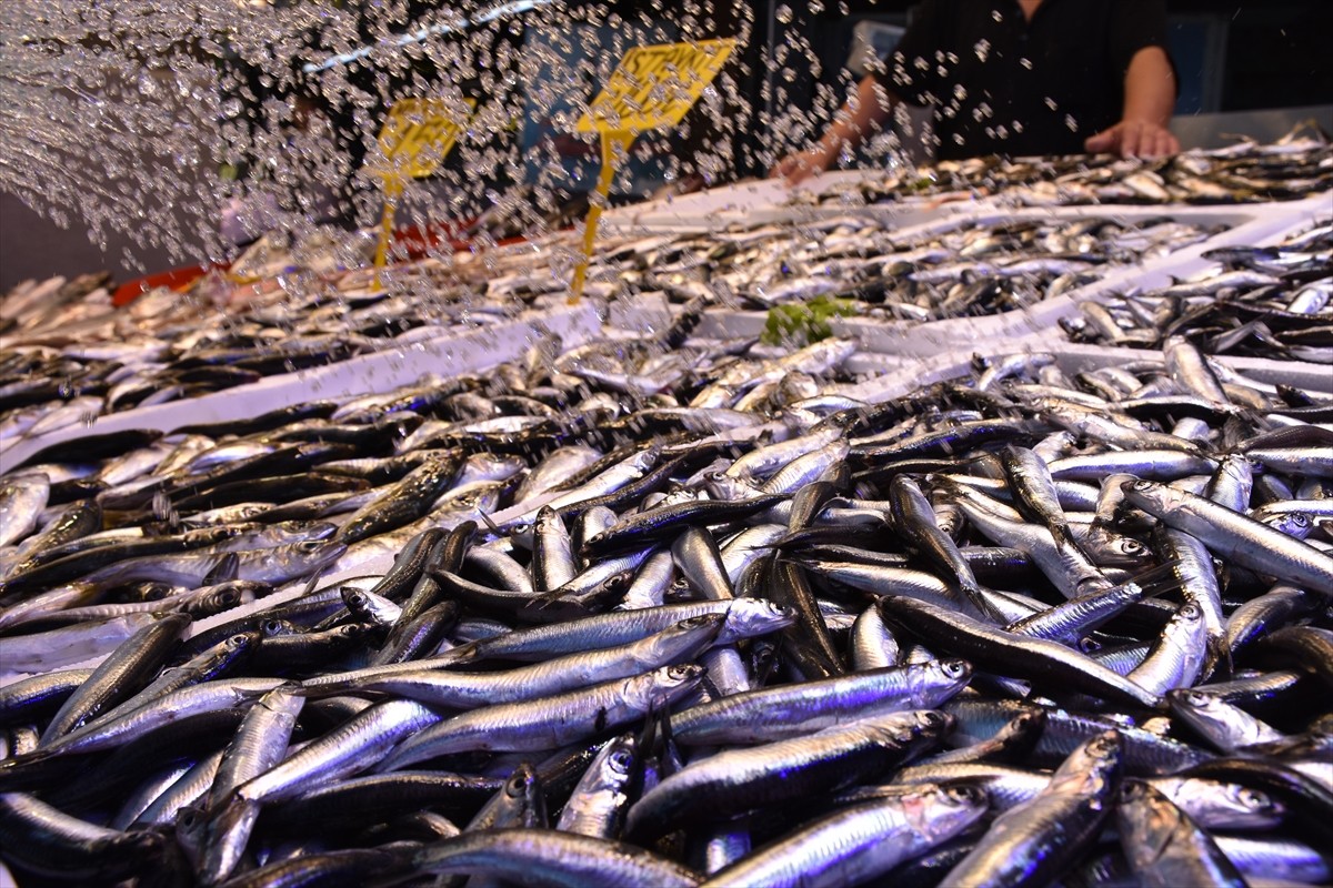 Trabzon'daki balıkçı tezgahlarında hamsinin kilogramı 100 liradan satılıyor. Ortahisar ilçesinin...