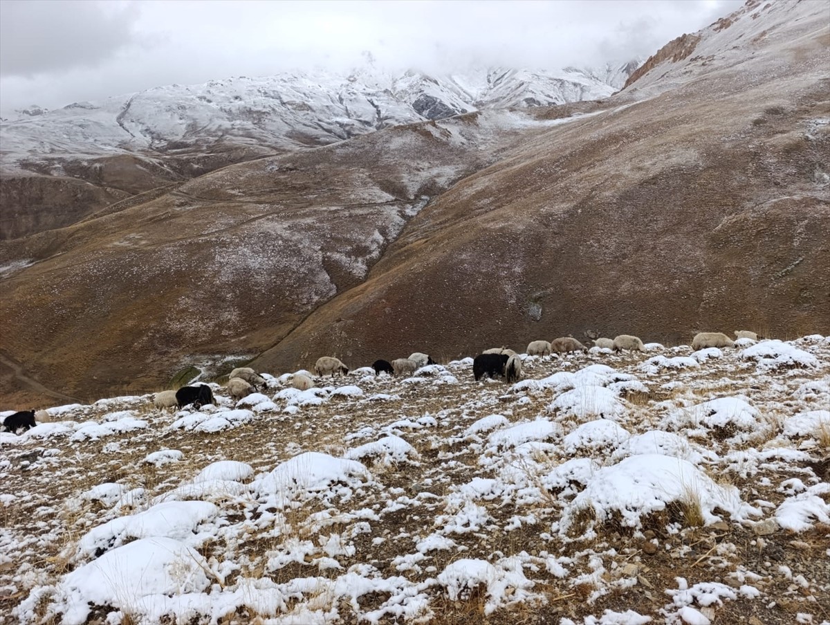 Van'ın Başkale ilçesinin yüksek kesimlerine kar yağdı. Yaylada koyunlarını otlatan bazı çiftçiler...