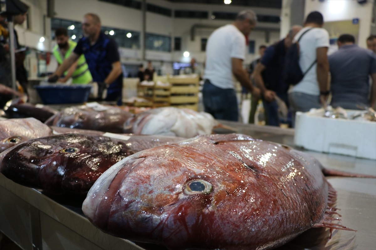 Yaklaşık 5 ay süren av yasağının sona ermesiyle "vira bismillah" diyerek denize açılan Egeli...