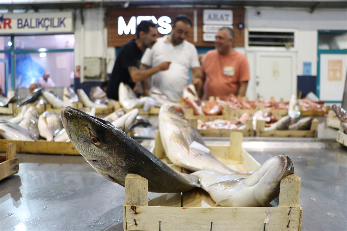 Yaklaşık 5 ay süren av yasağının sona ermesiyle "vira bismillah" diyerek denize açılan Egeli...
