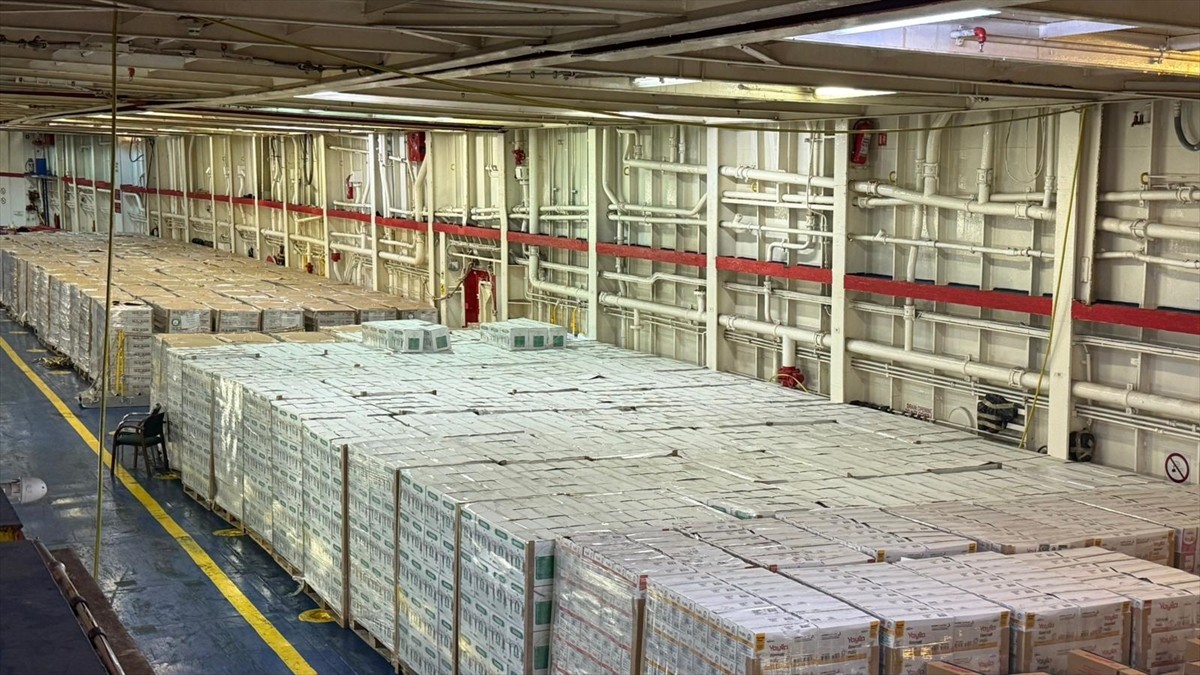 Afet ve Acil Durum Yönetimi Başkanlığı (AFAD) koordinasyonunda ve 17 sivil toplum kuruluşunun...