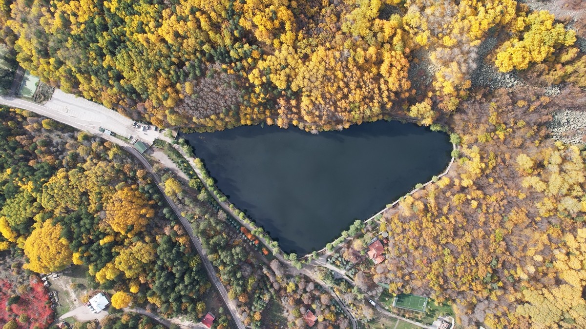 Ankara'da sonbahar renklerinin hakim olduğu Karagöl Tabiat Parkı'nda, görsel şölen yaşanıyor....